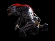 Strzyga12.jpg (48 КБ)