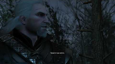 TheWitcher_3_WildHunt_-_Хозяйкилеса