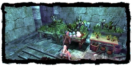 Places Witchers lab herbs