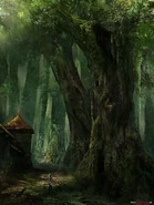 Леса Флотзама, концепт-арт к игре Ведьмак 2: Убийцы королей