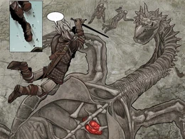 Дракопаха анатомия