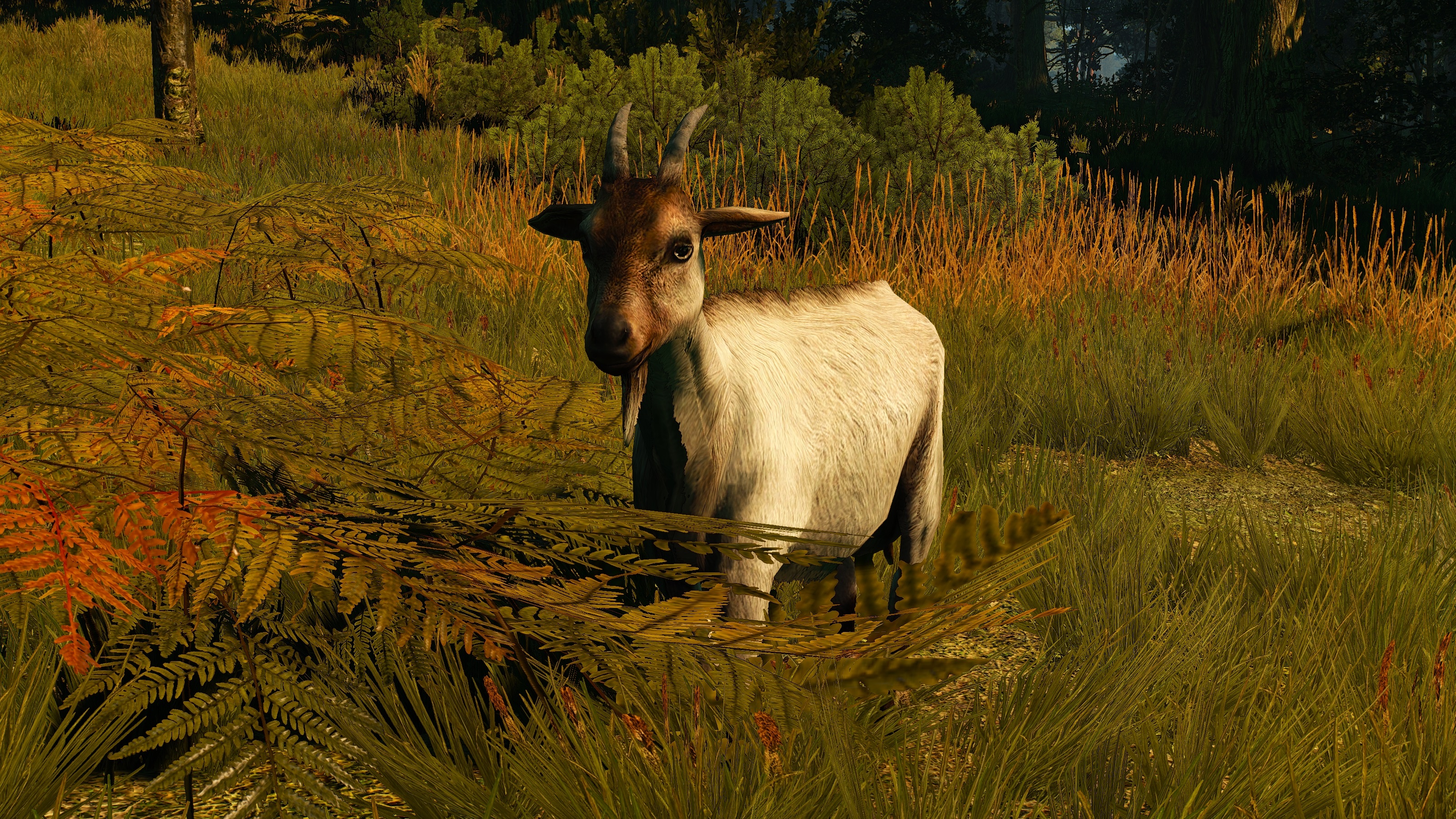 Картина на холсте коза