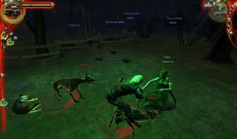 Не ранняя пташка