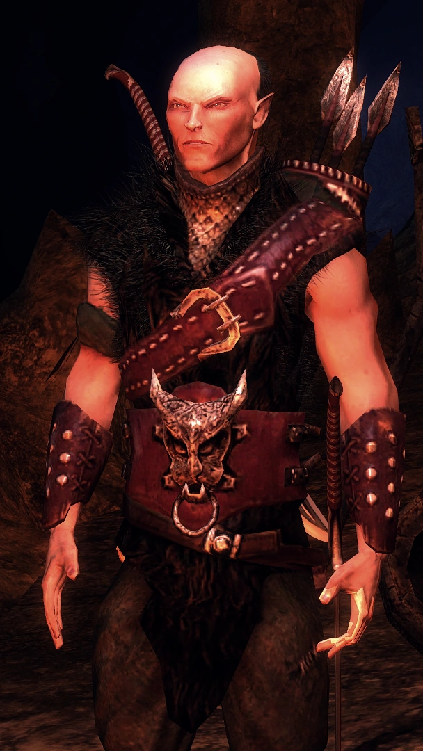 The witcher верноссиэль. Эльфы ведьмак 3. Ведьмак 1 эльфы. Ведьмак 2 скоя'таэль. Яевинн ведьмак 2.