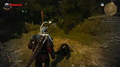 Thewitcher_3_WildHunt_-_Дамавбеде