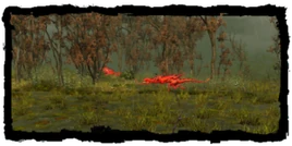 Остров виверн