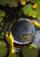 Вода Брокилона, Гвинт: Ведьмак. Карточная игра