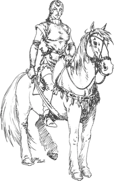 Стражница Зеррикании ИВ