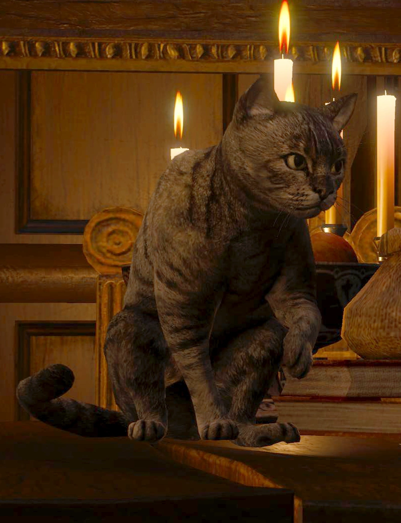 Геральт и котенок. Ведьмак каменные сердца кот и пес. Ведьмак 3 коты. Witcher 3 cat. Ведьмак кошка.