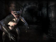 Фледер в игре Ведьмак