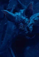 Вереена нетфликс 2.png (188 КБ) Вереена в форме бруксы в сериале «Ведьмак» от Netflix