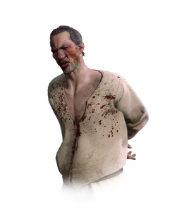 ЛяшарельВ3