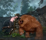 Рукопашный боя с Олафом