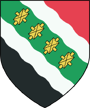 Герб эмблонии (вар 2)
