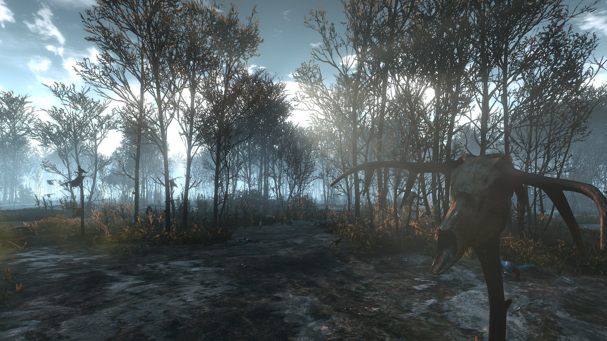 Велен ведьмак 3 болота. Кривоуховы топи ведьмак. Ведьмак 3 болота. Ведьмак велен болота. Кривоуховы топи ведьмак.