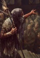 Проповедник Вечного Огня, Гвинт: Ведьмак. Карточная игра