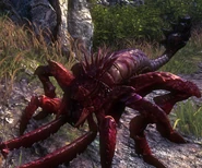 Tw2 Endrega warrior.png (1,29 МБ) Эндриага в игре Ведьмак 2: Убийцы королей