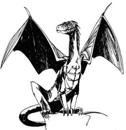 ИВ Золотой дракон.png (152 КБ) Золотой дракон, Ведьмак: Игра воображения