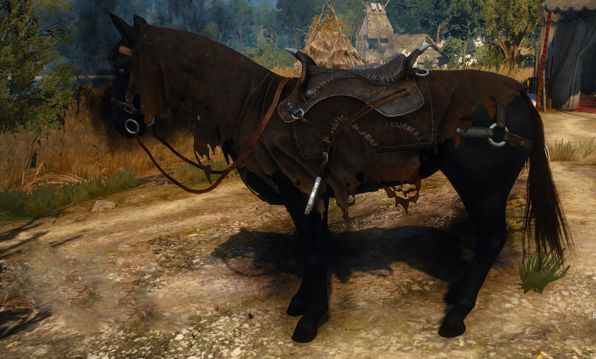 The witcher 3 geralt horse фото 51