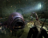 Ведьмак8.jpg (193 КБ)