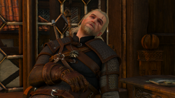       The Witcher 3 Wild Hunt