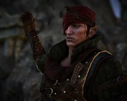 Иорвет отдает приказ открыть огонь скоя'таэлям в Вергене