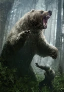 Разъяренный медведь, Гвинт: Ведьмак. Карточная игра