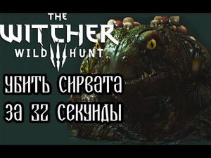 The Witcher 3- Sirvat in 32 seconds (WR)