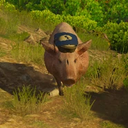 Три поросенка №2.jpg (70 КБ)