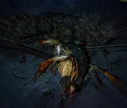 Труп королевы.jpg (152 КБ) Труп королевы