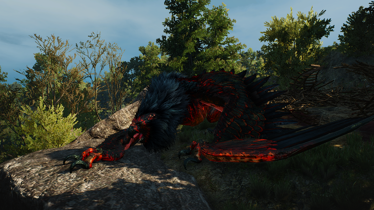 королевский грифон ведьмак 3. бестия из оксенфуртской чащи ведьмак 3. архигрифон ведьмак 3. бестия из оксенфуртской чащи ведьмак 3. оксенфуртские ворота ведьмак 3 на карте.