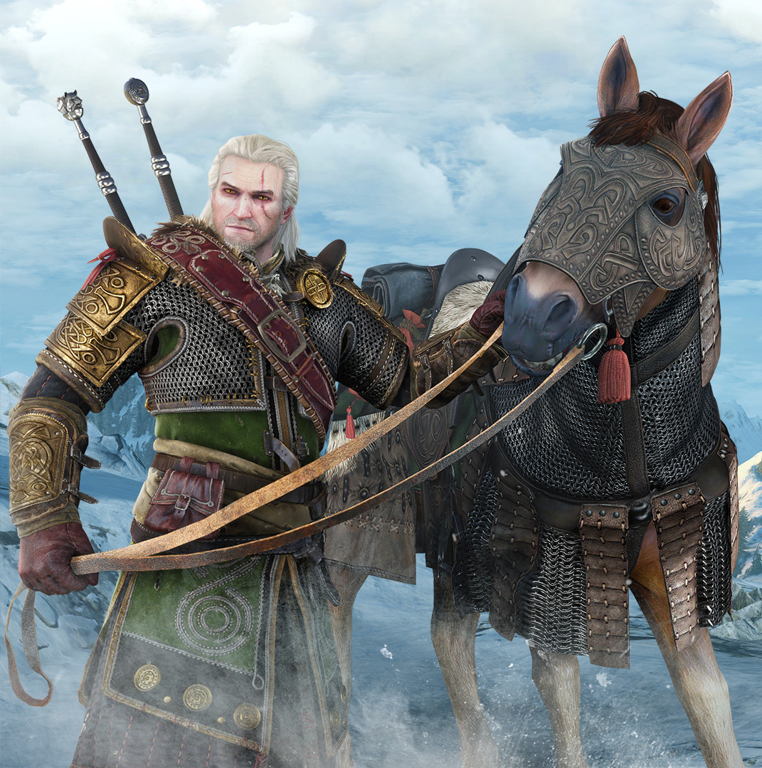 The witcher 3 all witcher armor фото 109