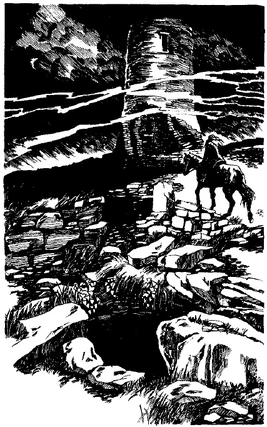 БЛ Комаркова