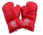 Jonah's boxing gloves (1)