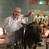 Show runner David Mandel on set with a cow. (November 4, 2016)