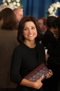 Veep14 13.jpg (431 KB)