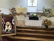 D4ptriHUEAAWutI.jpg-large.jpeg (429 KB)