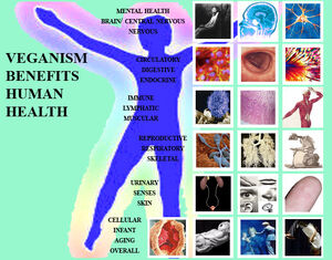 Human-HealthWeb