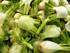 Market fennel.jpg