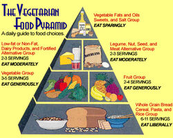 Pyramid-Vegetarian-01.jpg