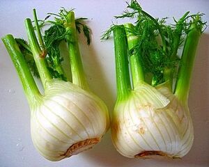 Fennel.jpg