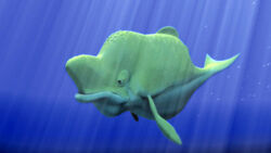 Veggiewhale.jpg