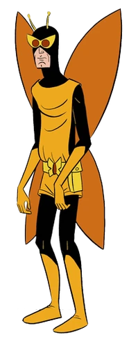 24