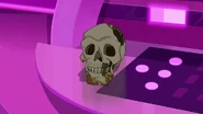 24's Skull