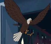 Eagle guise