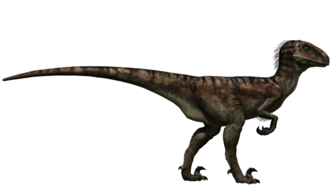 Vault Review: Walking With Dinosaurs Troodon –