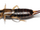 Earwig