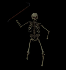 Skeleton.png