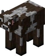 Mountain Cow.jpg