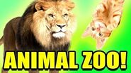Gmod Acachalla ANIMAL ZOO Mod! (Garry's Mod)
